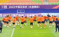 赛前山东泰山复出首秀——荷甲节点到来，震撼外界，赛程密集仍需轮换的简单介绍-亚博网站